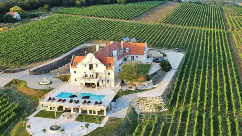 Több millió eurós árcédulával várja új gazdáját Magyarország egyik legbájosabb borászatának birtoka. Vajon már rátalált valaki az álomra?