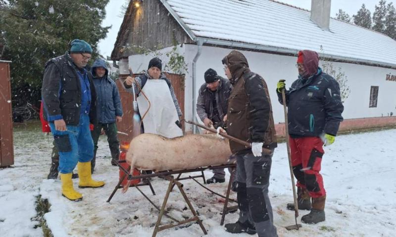 Csemadokos disznótor Köbölkúton: Tradíció és közösség egyesítő ereje

Köbölkút varázslatos falujában idén is megrendezésre került a Csemadok által szervezett disznótor, amely nemcsak a helyi ízek megismerésére, hanem a közösség összetartására is remek alk