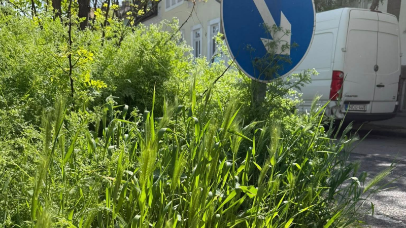 Tedd különlegessé a szöveget: Elérkezett az idő, hogy véget vessünk a kerület lezüllésének! Nyílt levélben fordultak Óbuda alpolgármestereihez.