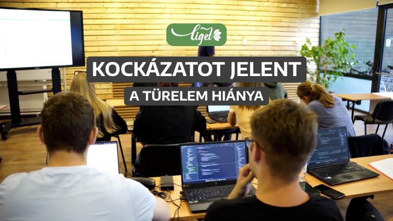 Videók - Z generáció: laptop, internet, kreatív ötletek, és máris elindul a vállalkozás?