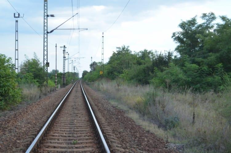 Egy hatalmas fa dőlt ki, és ezzel órákra megbénította a vasúti forgalmat a dél-balatoni vonalon.